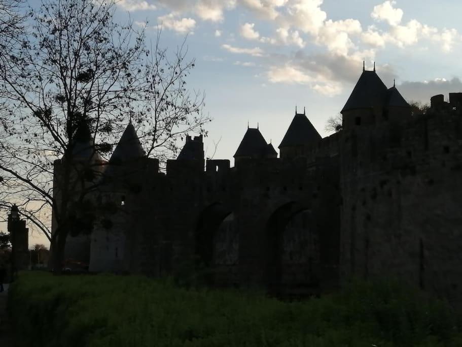 Le Soleil D Eugenie Appartement Dans Residence Avec Piscine Commune Pres De Carcassonne Olonzac Dış mekan fotoğraf